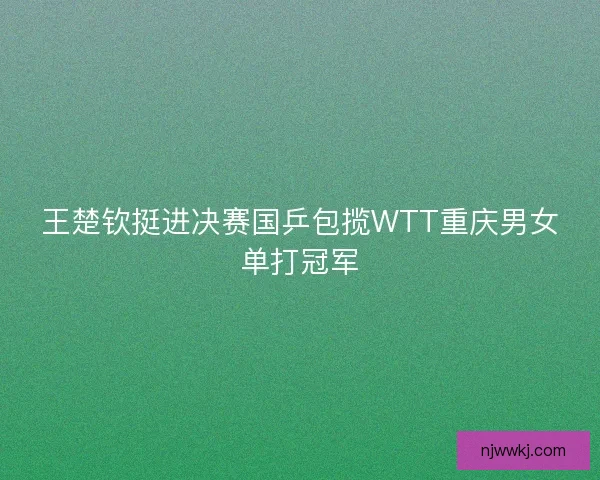 王楚钦挺进决赛国乒包揽WTT重庆男女单打冠军