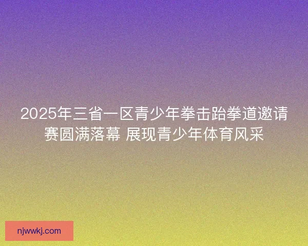 2025年三省一区青少年拳击跆拳道邀请赛圆满落幕 展现青少年体育风采