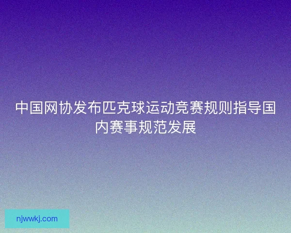 中国网协发布匹克球运动竞赛规则指导国内赛事规范发展