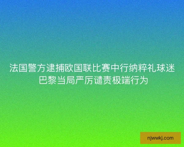 法国警方逮捕欧国联比赛中行纳粹礼球迷 巴黎当局严厉谴责极端行为